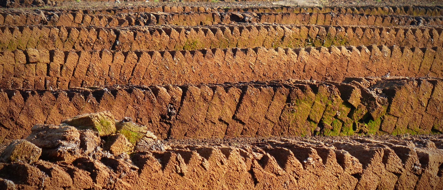 bernswaelz-peat-1263431.jpg