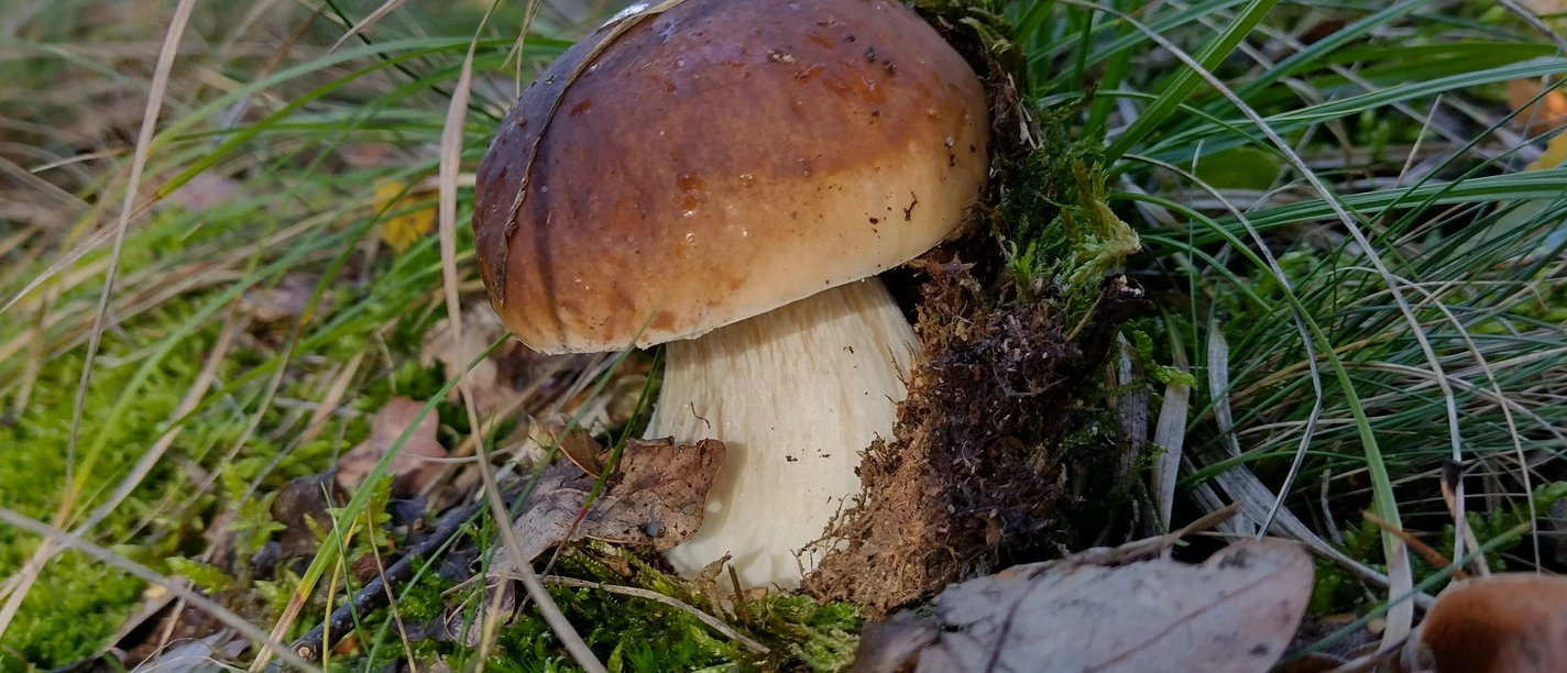 94df3d06-fed8-44d7-93b6-463920ab0e17-1_all_7432.jpg