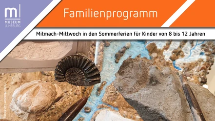 Mitmach-Mittwoch: Fossilien im Museum Lüneburg