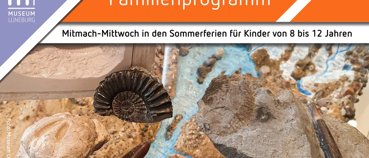 Mitmach-Mittwoch: Fossilien im Museum Lüneburg