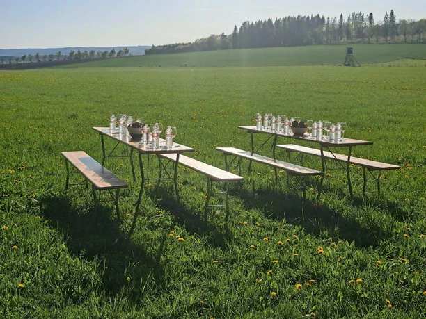 Picknick Wein