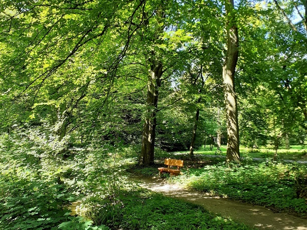 Waldweg
