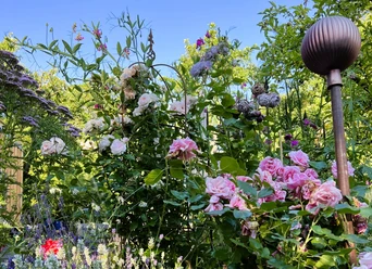 Garten Karls
