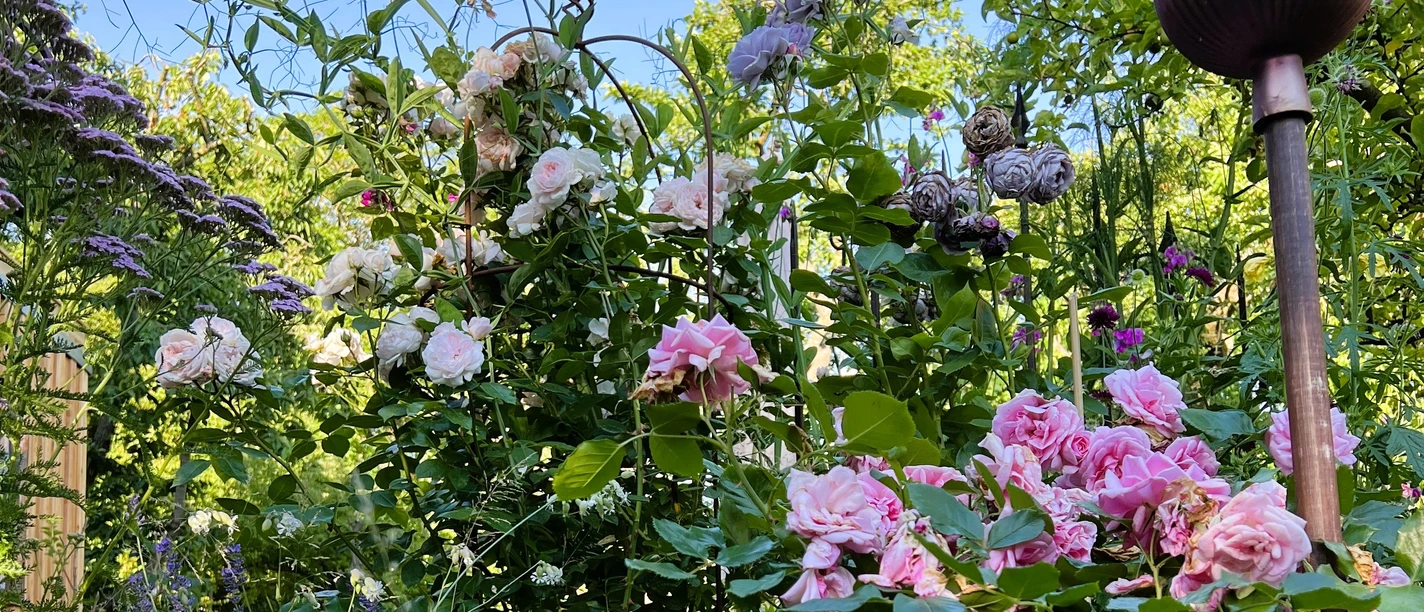 Garten Karls