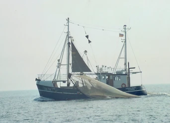 Film Nordseekrabbe.jpg