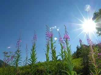 Kneipp-Tour_16072008_Copyright_MarkusSchild 026.jpg