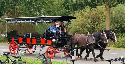 Kutschfahrt.jpg