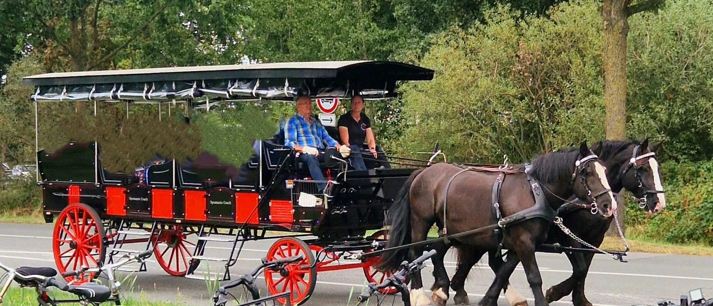 Kutschfahrt.jpg
