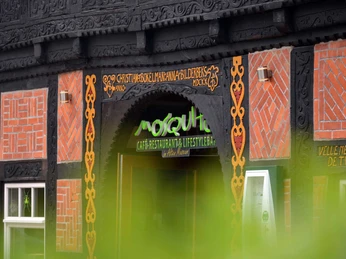 Mosquito Rinteln Mosquito Rinteln