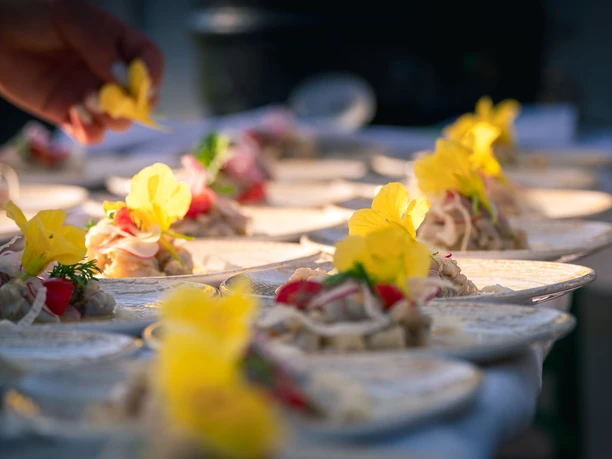 Dinner im Gewächshaus auf Gut Rosengarten