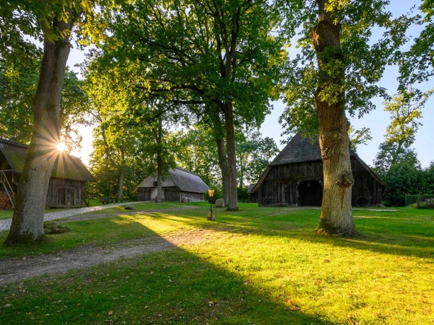 emhoff-wilsede.jpg Historische Reetdachhäuser an einem Weg in Wilsede unter großen Bäumen im Sonnenlicht.