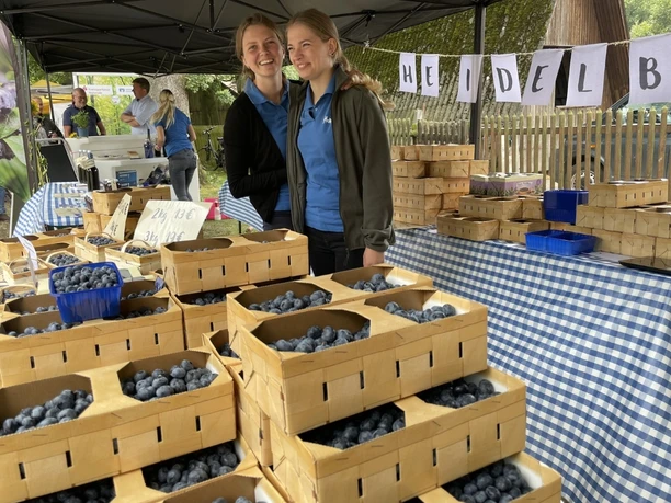 b_Blaubeerstand_Helkenhof.jpg