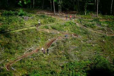 Bielsteiner Waldkurs Mountainbiker auf kurvigem Waldkurs zwischen Lichtungen und Beobachtern am Hang.