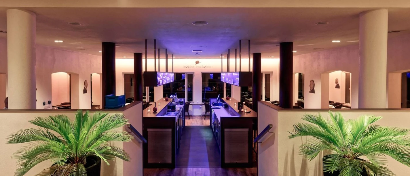 Innenansicht des Best Western Hotels Slenaken. Eine Treppe führt herunter zu einem Aufenthaltsraum mit hohen Tischen, Säulen und herabhängenden Leuchten. Rechts und links neben der Treppe stehen zwei identische Pflanzen .