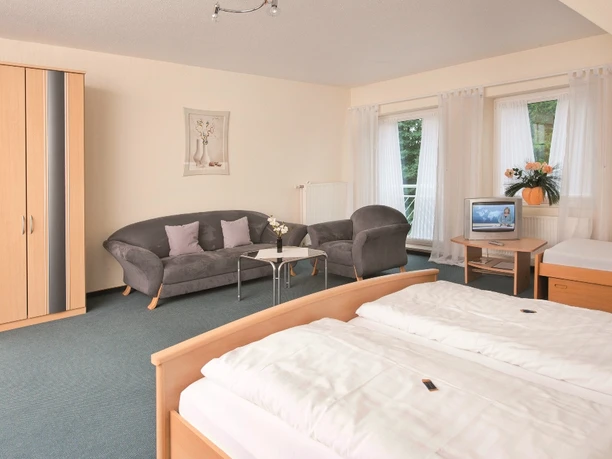 Emsbruecke_2010_Zimmer_mini.jpg Helles Hotelzimmer mit Doppelbett, Sofa, Fernseher, Schrank und großen Fenstern mit Vorhängen.