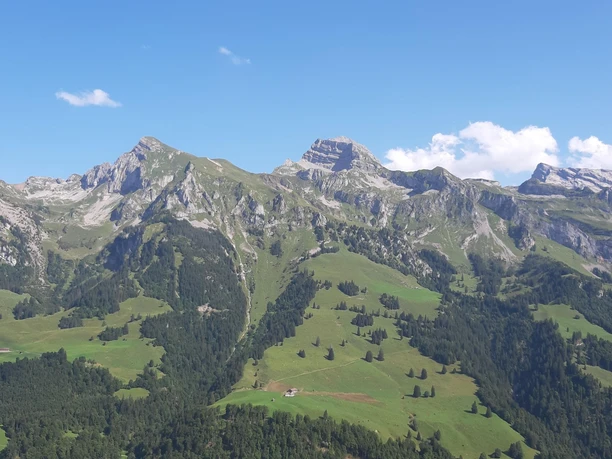 View