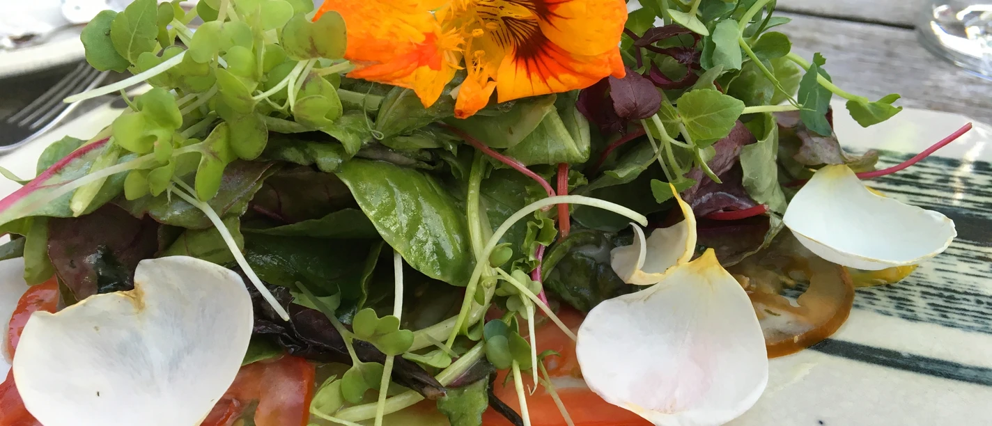 Kulinarisch genießen im Osnabrücker Land