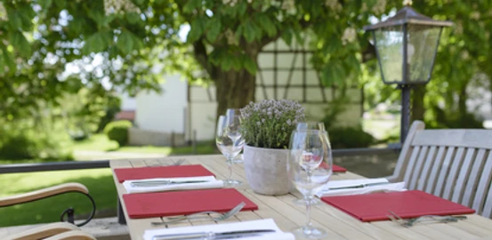 gartenterasse_mit_kastanienbaum_2_mohren