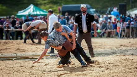 Schwingen-01 - Sonja von Niederhäusern.jpg