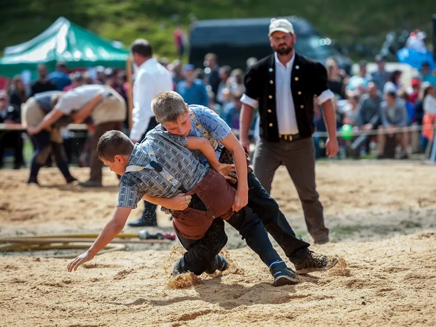Schwingen-01 - Sonja von Niederhäusern.jpg