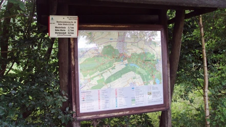 Hölzerne Wandertafel im Grünen mit Karte für den Rundweg 30 Hohe Warte.