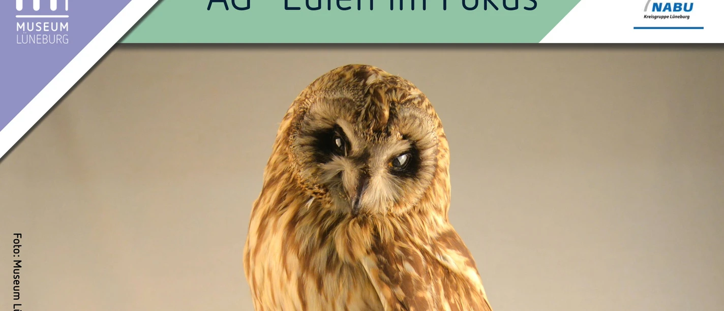 AG "Eulen im Fokus" im Museum Lüneburg