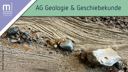 AG Geologie und Geschiebekunde im Museum Lüneburg
