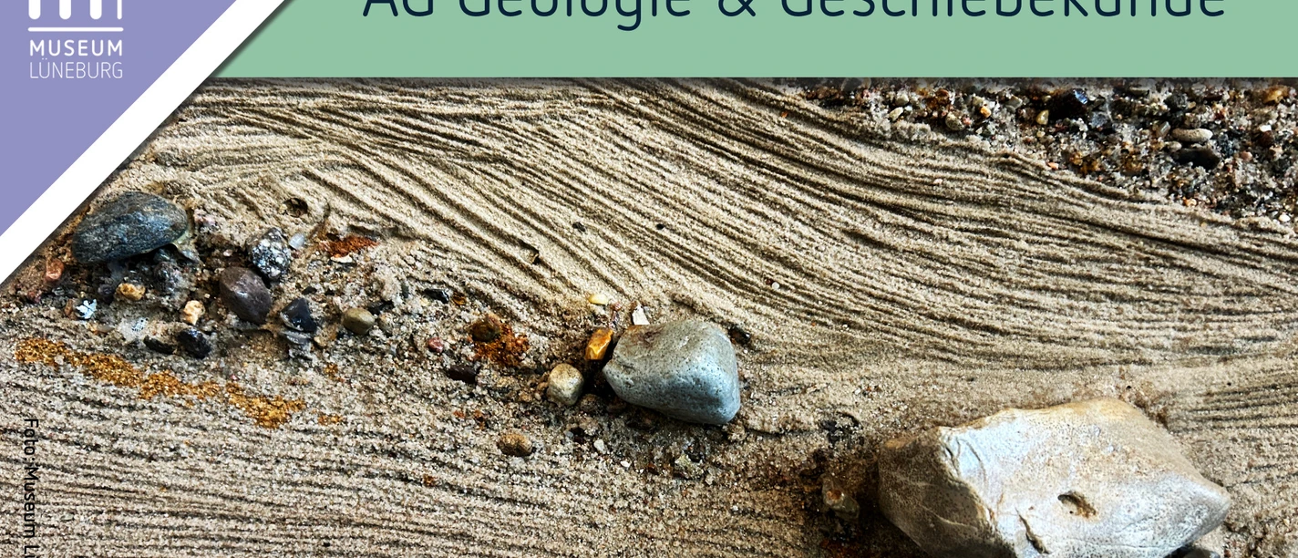 AG Geologie und Geschiebekunde im Museum Lüneburg