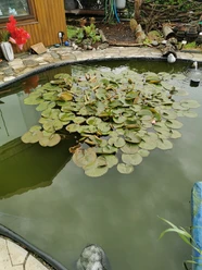 IMG_20260512_160405.jpg