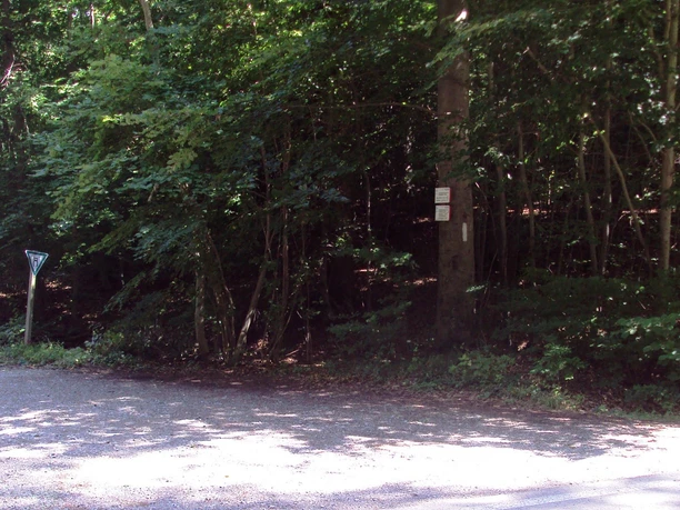 Breiter Schotterweg am grünen Waldrand mit Vorfahrtsschild links und Baummarkierungen rechts.