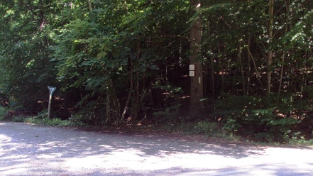 Wanderweg28_Salzgitter_HD_16zu9.JPG Breiter Schotterweg am grünen Waldrand mit Vorfahrtsschild links und Baummarkierungen rechts.