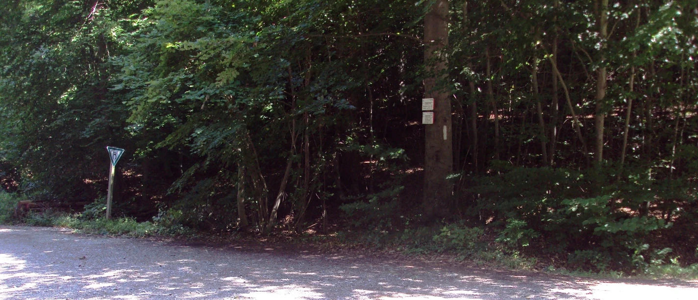 Wanderweg28_Salzgitter_HD_16zu9.JPG Breiter Schotterweg am grünen Waldrand mit Vorfahrtsschild links und Baummarkierungen rechts.