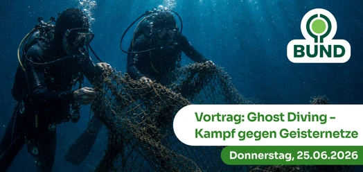 selected_cropmiddle_2026-06-26_-_Ghost-Diving_Banner.jpg