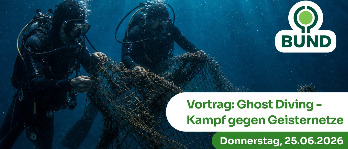 selected_cropmiddle_2026-06-26_-_Ghost-Diving_Banner.jpg