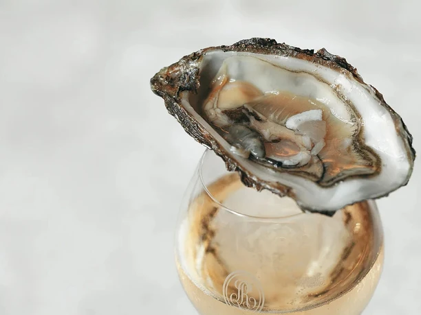 Advents- und Weihnachtsbrunch Offene Auster auf einem Glas mit hellem Wein.