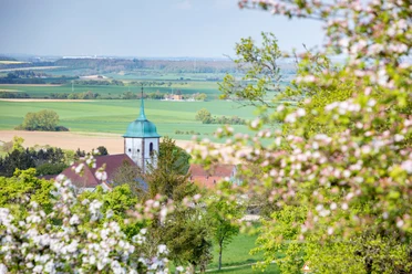 Blick auf die Kirche von Medelsheim