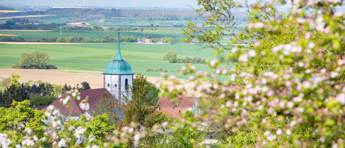 Blick auf die Kirche von Medelsheim