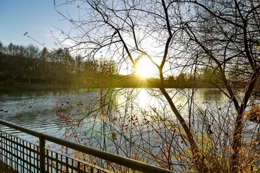 Ommersheimer Weiher