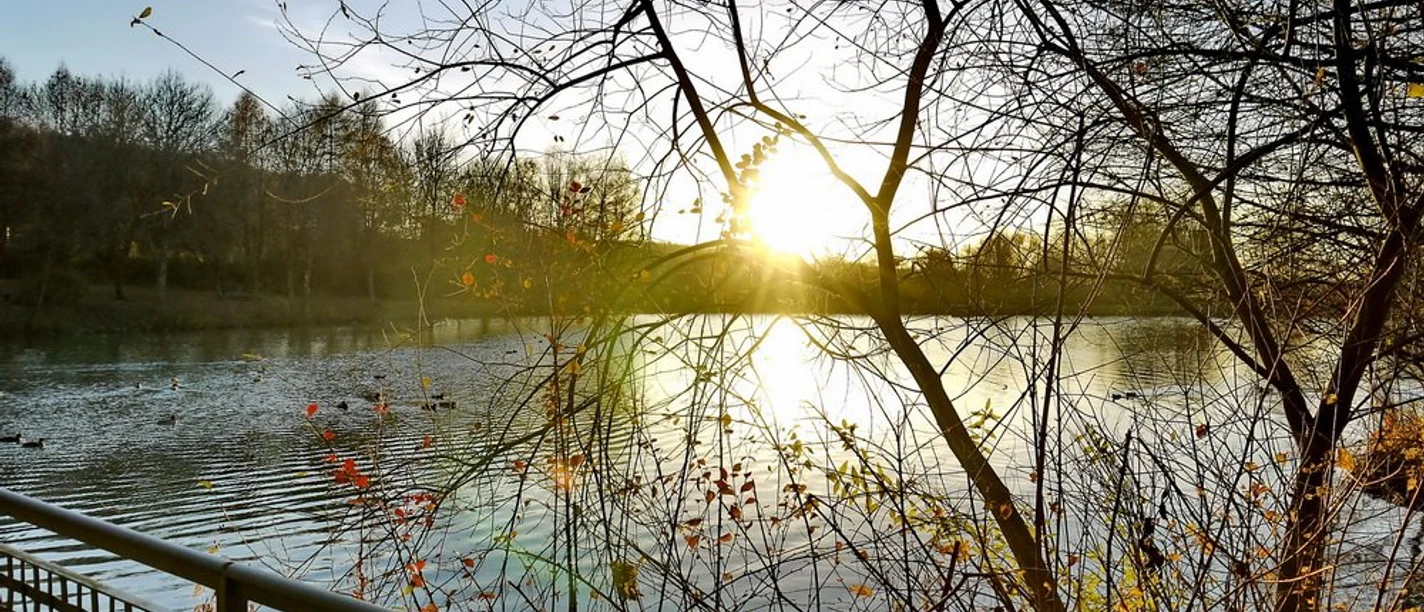 Ommersheimer Weiher