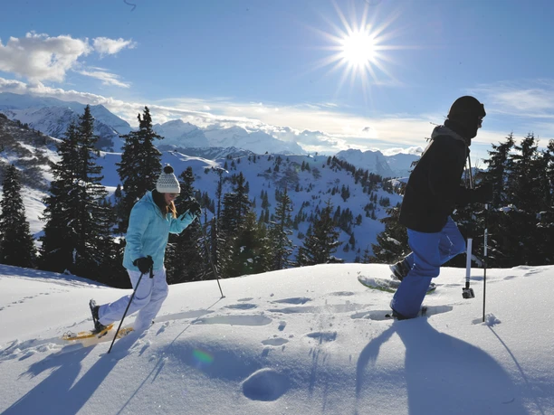 Snowshoe Adventure
