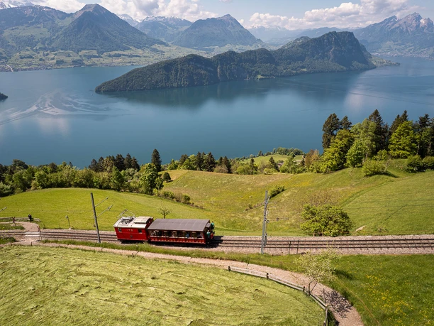 Royal Rigi Experience