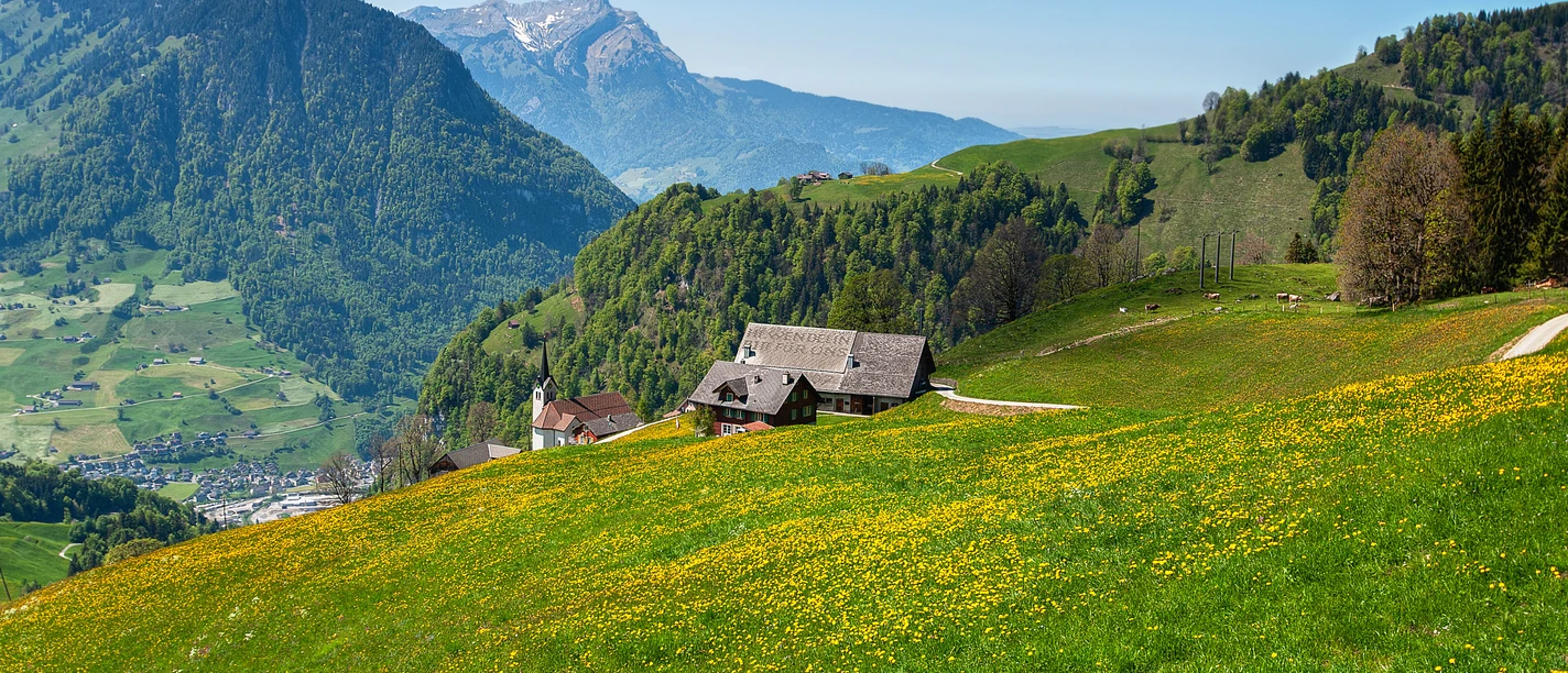 Niederrickenbach 1 Mai
