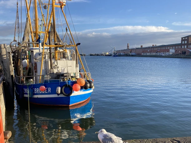 Hafen Sommer 26.jpeg