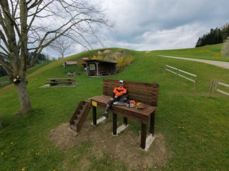 Feuerstelle Hickern Hergiswil