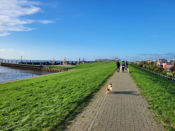 20231012_163522 (c) Tanja Mehl_Erlebnis Bremerhaven.jpg Spaziergänger mit Hunden auf der grünen Deichpromenade am Wasser, im Hintergrund Hafenanlagen.