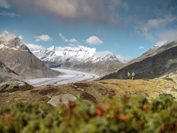 Trailrunning mit Gletscherpanorama Zwei Trailrunner beim Stoneman Glaciara Hike oberhalb des Grossen Aletschgletschers in der Aletsch Arena.