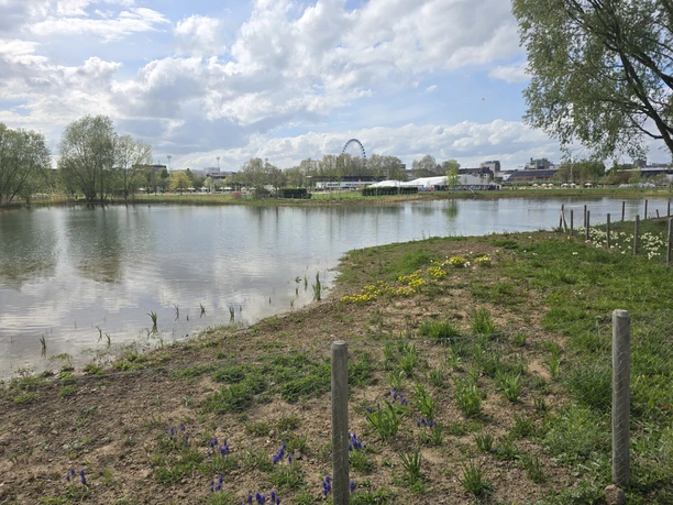 Landesgartenschau Gelände