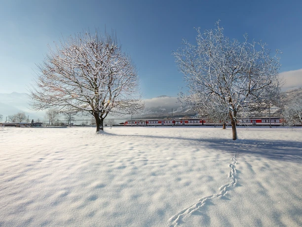 Winterzauber im Luzern–Interlaken Express