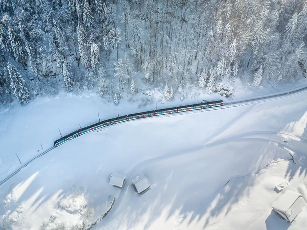 Luzern–Interlaken Express fährt durch verschneite Wälder und Felder in der Winterlandschaft