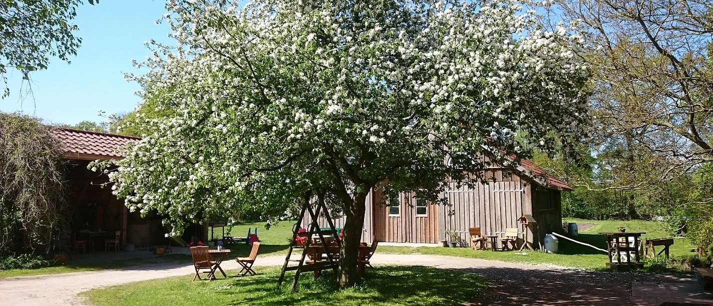 Schatteburger Melkhuske Rhauderfehn Blühender Baum mit weißen Blüten auf einer Wiese vor einem Holzgebäude und mehreren Holztischen und Stühlen